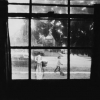 Looking through window BW